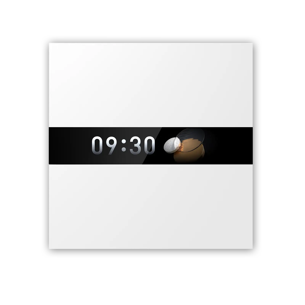 Aqara Display Switch V1